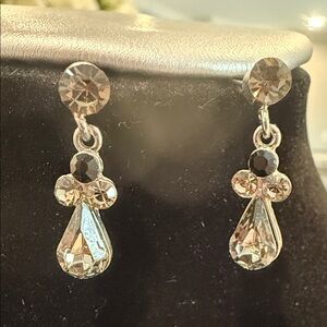 Elegant Silver Drop Earrings